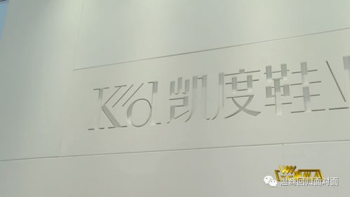 劉彬 以產品研發驅動溫州鞋業升級，教育項目與科研文獻并進